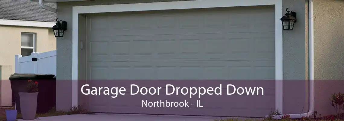 Garage Door Dropped Down Northbrook - IL