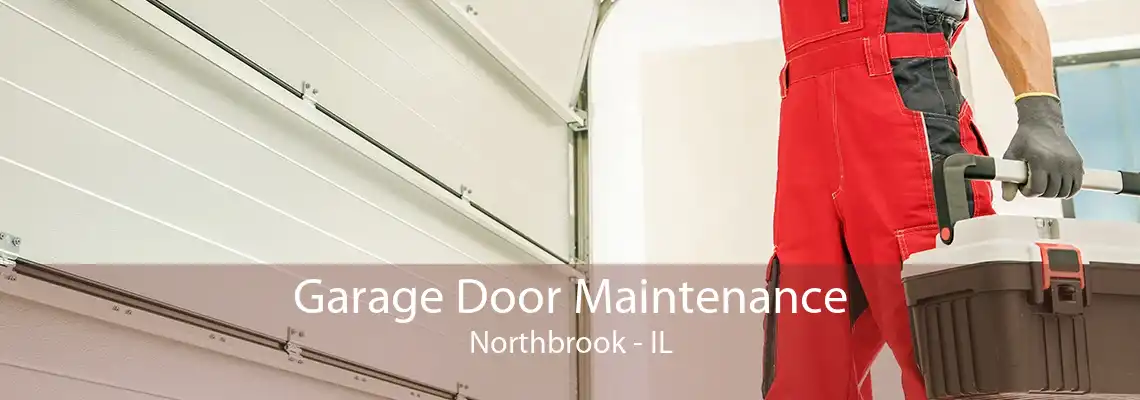 Garage Door Maintenance Northbrook - IL