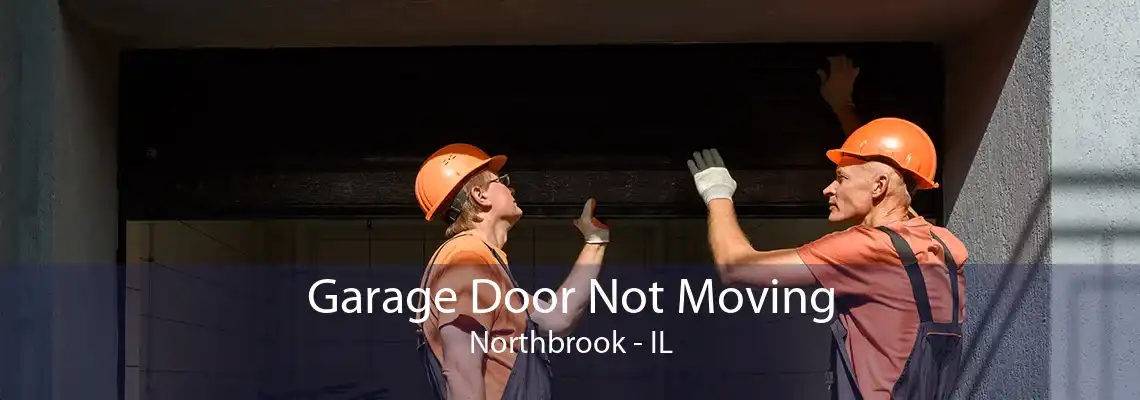 Garage Door Not Moving Northbrook - IL