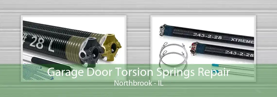 Garage Door Torsion Springs Repair Northbrook - IL