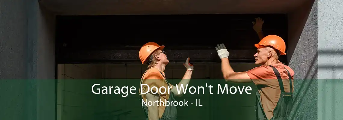 Garage Door Won't Move Northbrook - IL